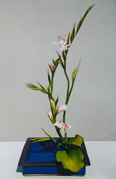 Öffnet die Seite 'IKEBANA - Die Blumenkunst aus Japan'